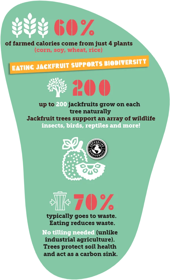 Eating Jack-fruit Supports Biodiversity