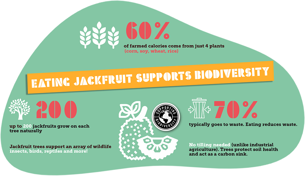 Eating Jack-fruit Supports Biodiversity